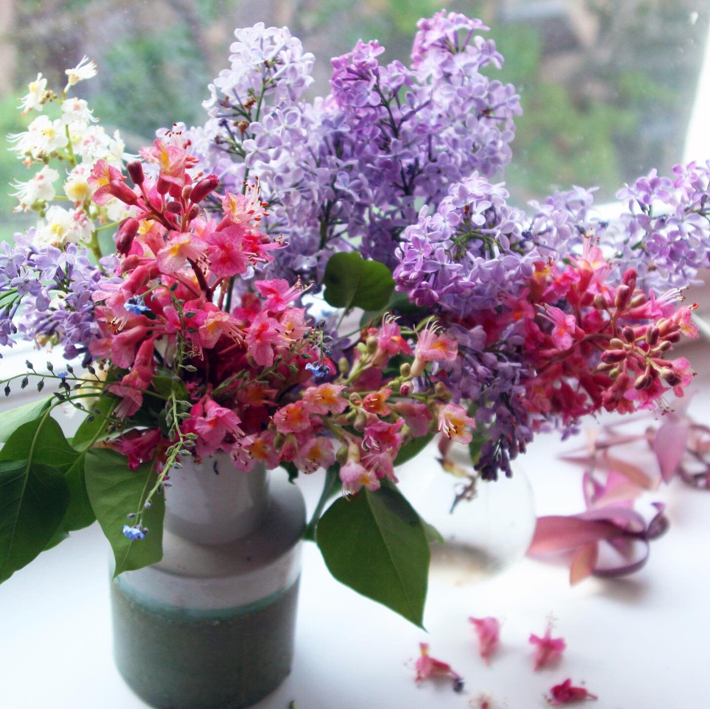 Can&rsquo;t stop Berlin spring. (Wild blooms plucked by my own two paws. 👐🏼🌸)