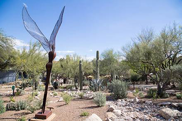 At Westin La Paloma , meeting attendees can enjoy the beautiful mountainous outdoors or choose to have a serene experience in the iconic 250-acre desert resort’s Serenity Garden. The garden is a complimentary sanctuary for guests looking to extend Tucson’s “Free Yourself” state of mind and quirky artistic culture into their next meeting.