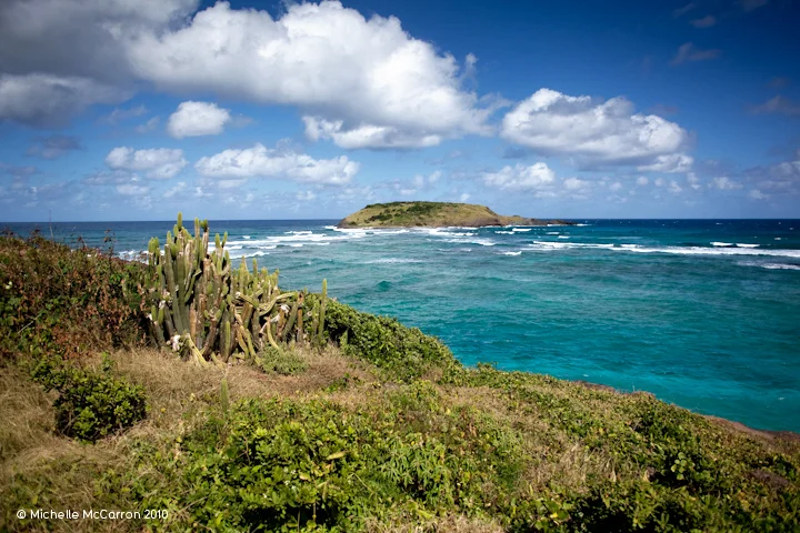 St Barth_Guanahani-3419