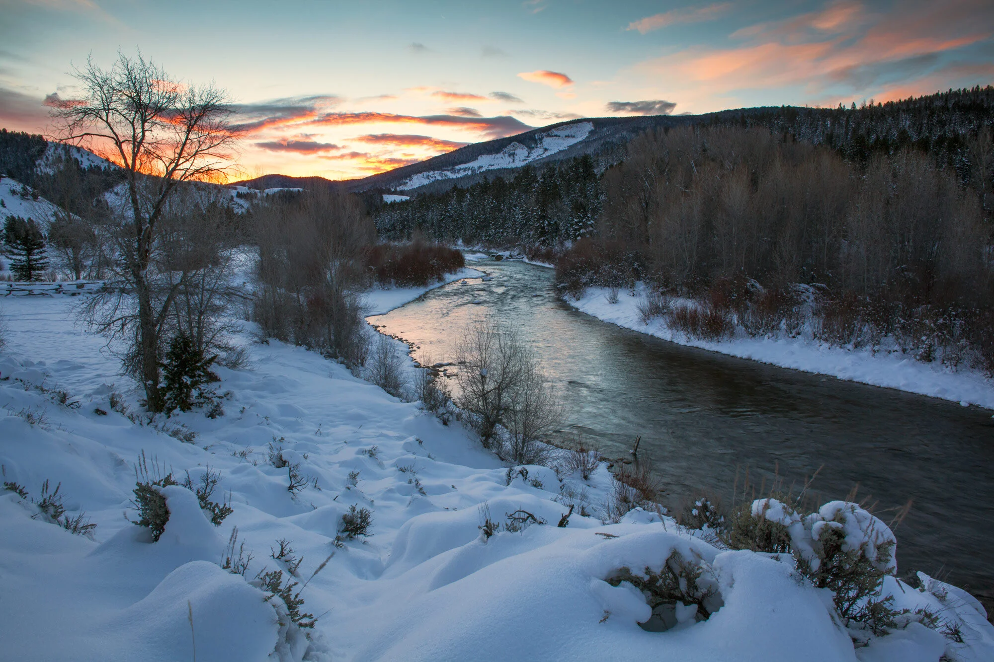 Day breaks on the Gros Ventre river in the Bridger Teton National Forest, western Wyoming, an area which encompasses the heart of the study area of the Teton Cougar Project. 