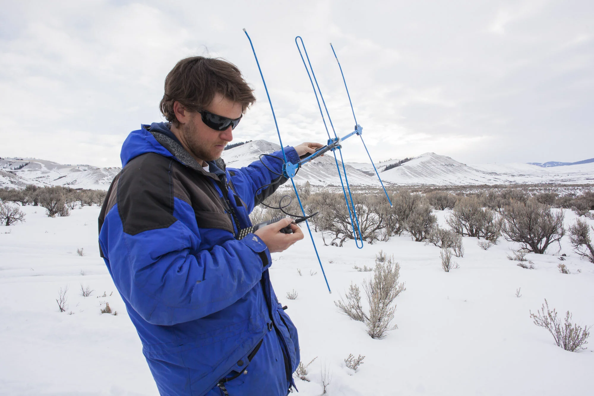 Connor O'Malley, field technician and biologist with the Teton Cougar Project checks his telemetry equipment for radio signals from mountain lions the team have collared for their research in the vast Gros Ventre wilderness area of we