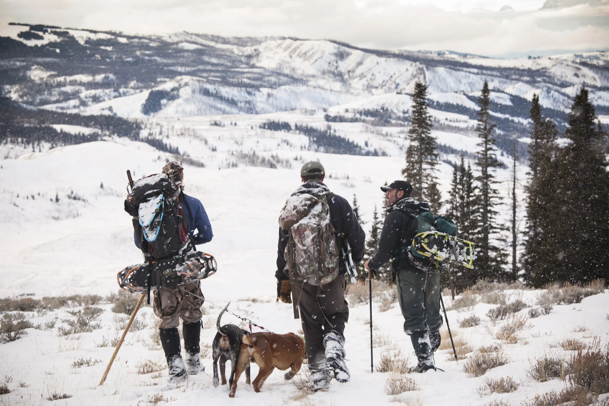 Boone Smith, wildlife capture specialist, Dr Mark Elbroch, Teton Cougar Project Director and wildlife cameraman Jeff Hogan head home after a successful capture day in the field. The Teton Cougar Project is entirely funded by private individuals and