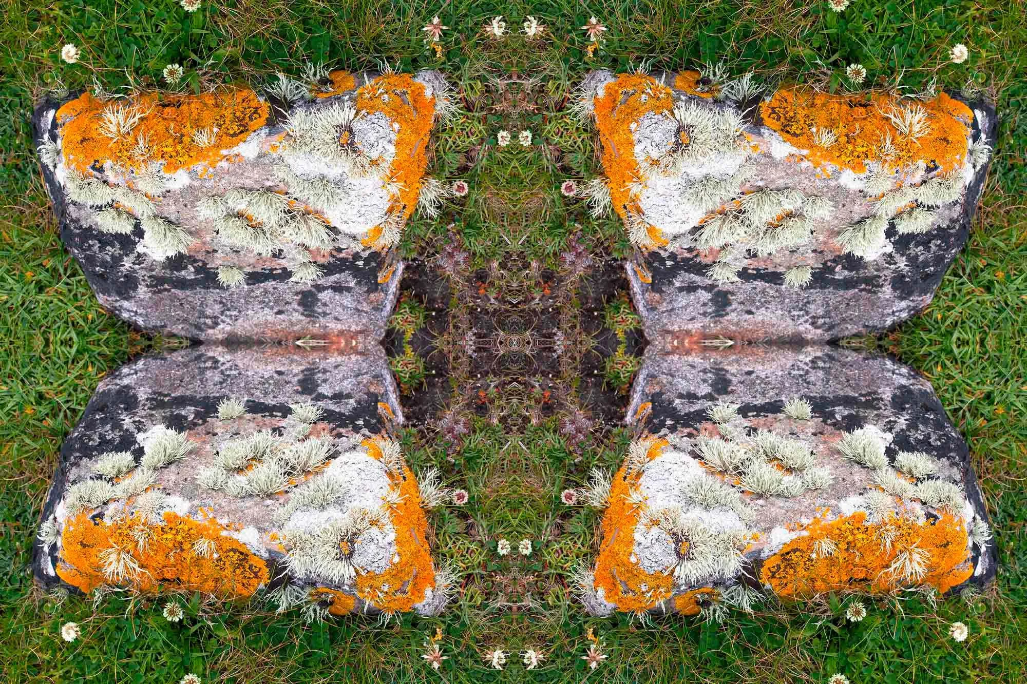 The Sidhe’s Wings  Archival Pigment Print | 17 x 25 inches | Edition of  10