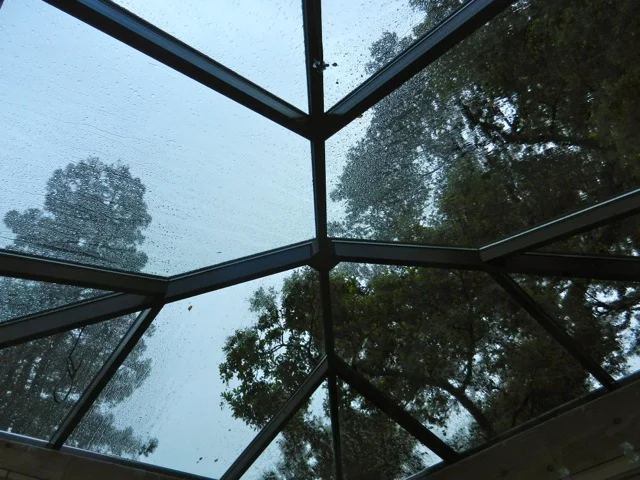 DSCN1756.jpg