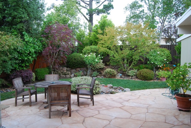 d yard-1.jpg