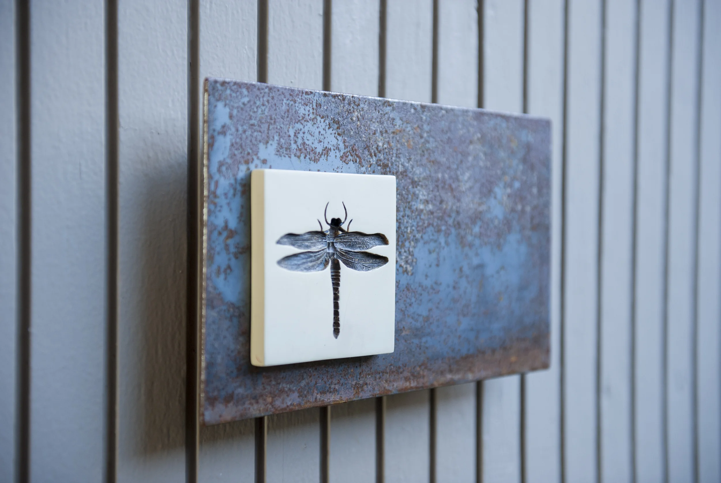 Lex_dragonfly2DSC_5750.jpg