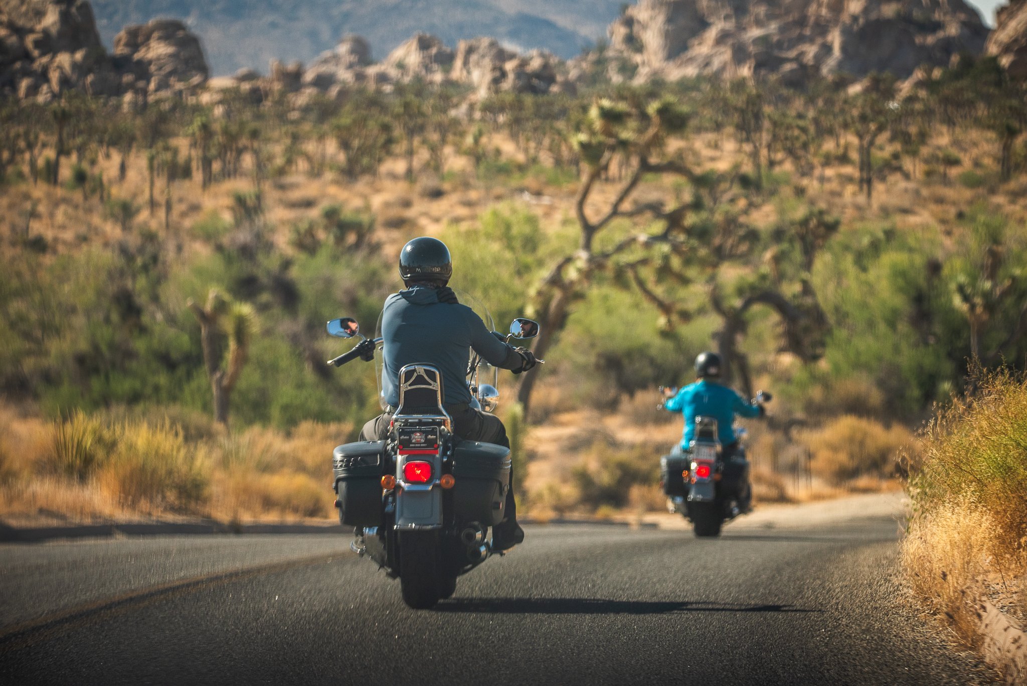 Joshua Tree-02.jpg