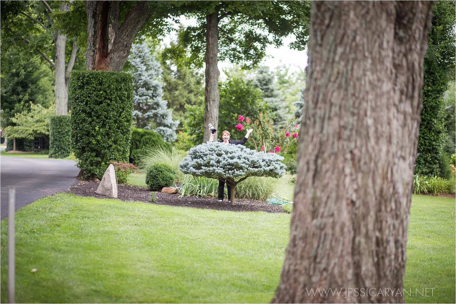 Hey - sometimes you gotta hide behind a bush to get the perfect shot! 