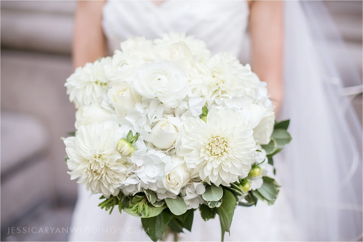 Seelbach Hilton Louisville wedding