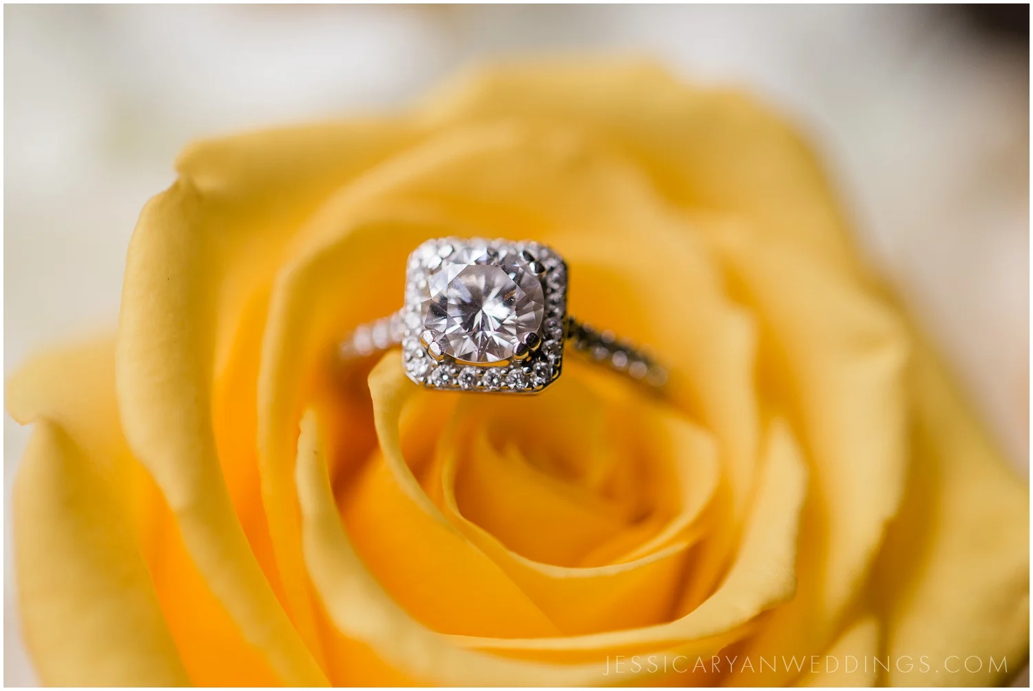 Louisville-Wedding-Photographer_0002.jpg