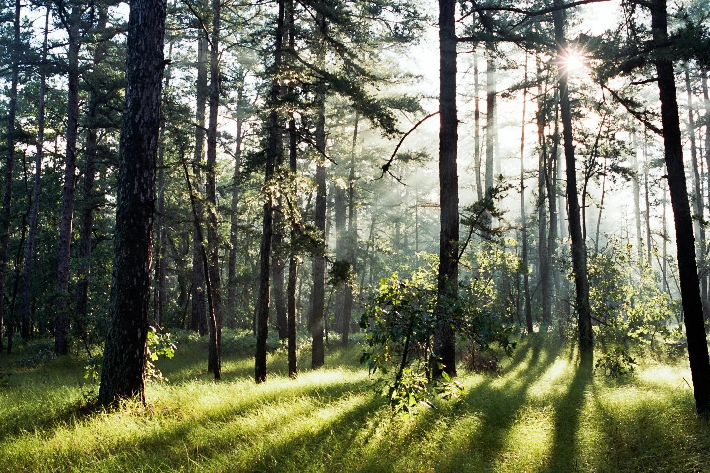 024_OutdoorLifestyle.jpg