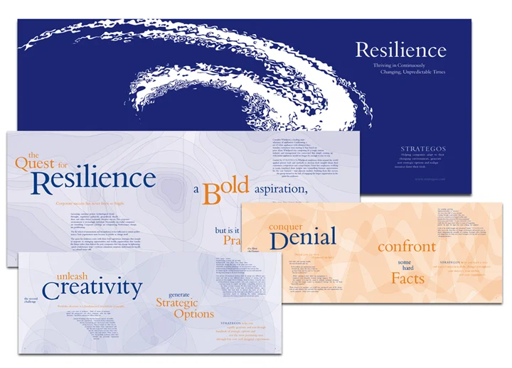 ResilienceBrochure.jpg