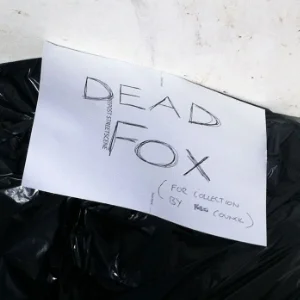 simplest type of waste is the visible kind