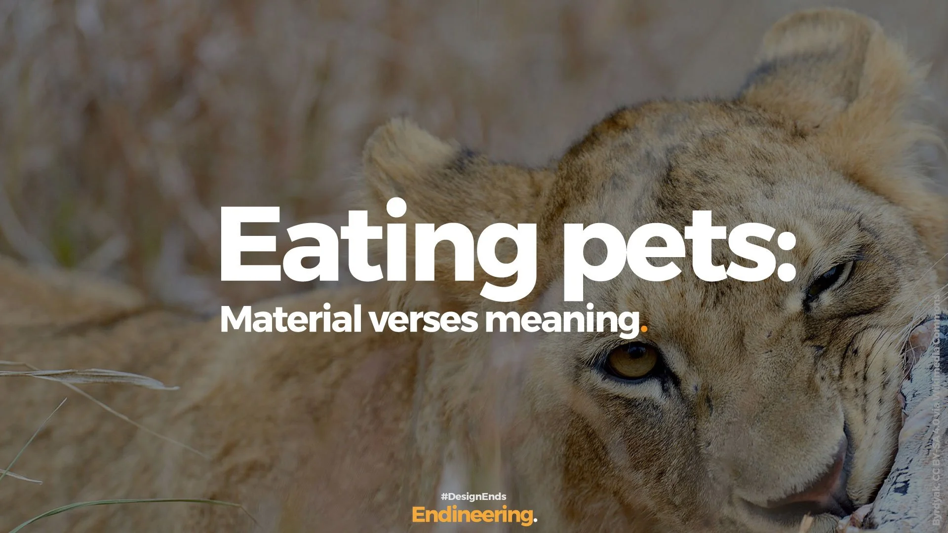 Eating pets: Material verses meaning.