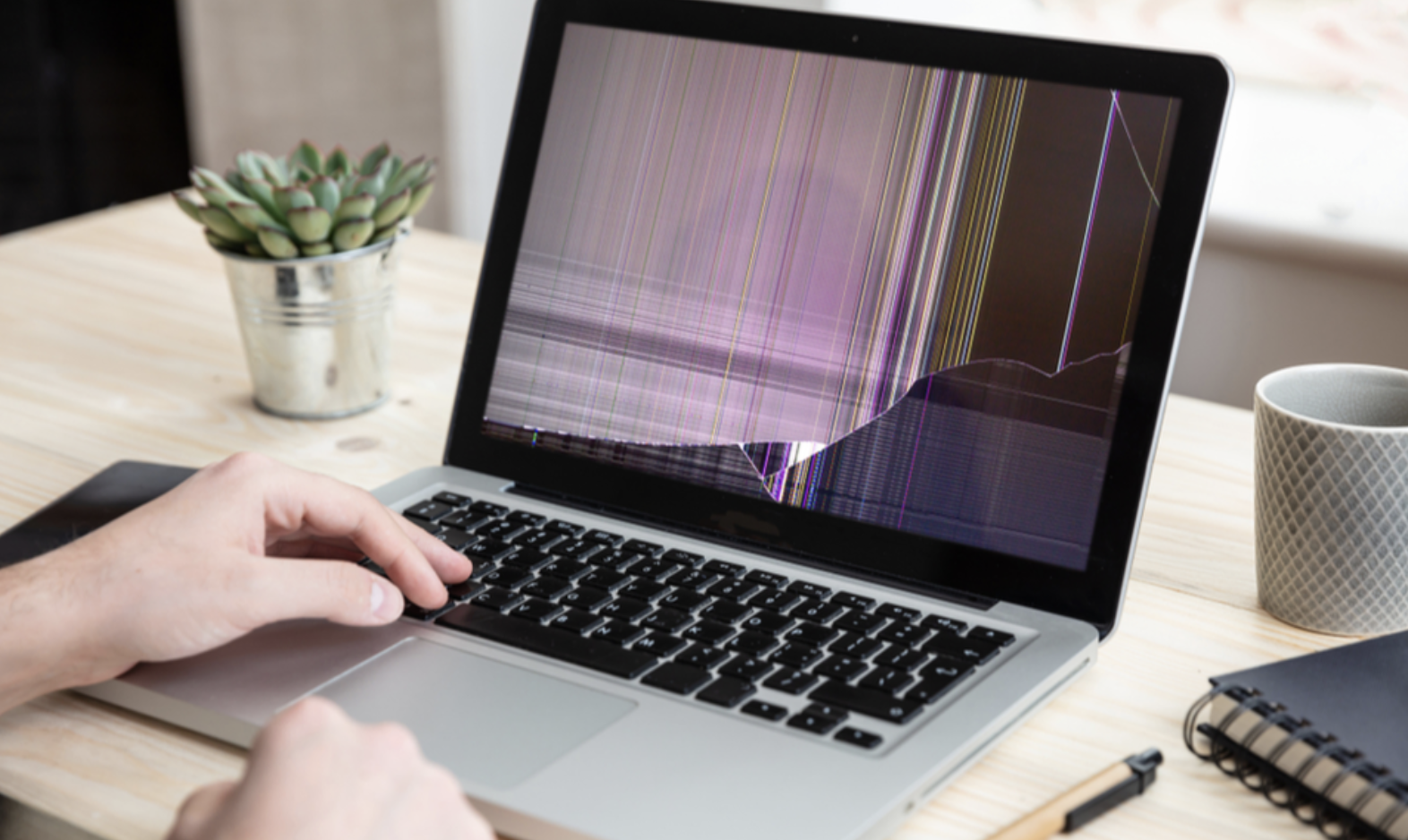 This designer helps businesses develop end-of-life experiences | Trellis