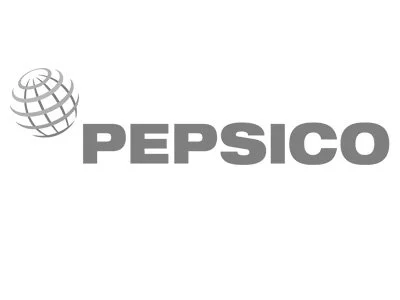 PepsiCo logo in grayscale with circular globe design on the left.