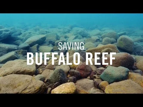 Saving Buffalo Reef