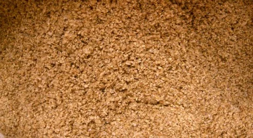 spent_grain crop.jpg