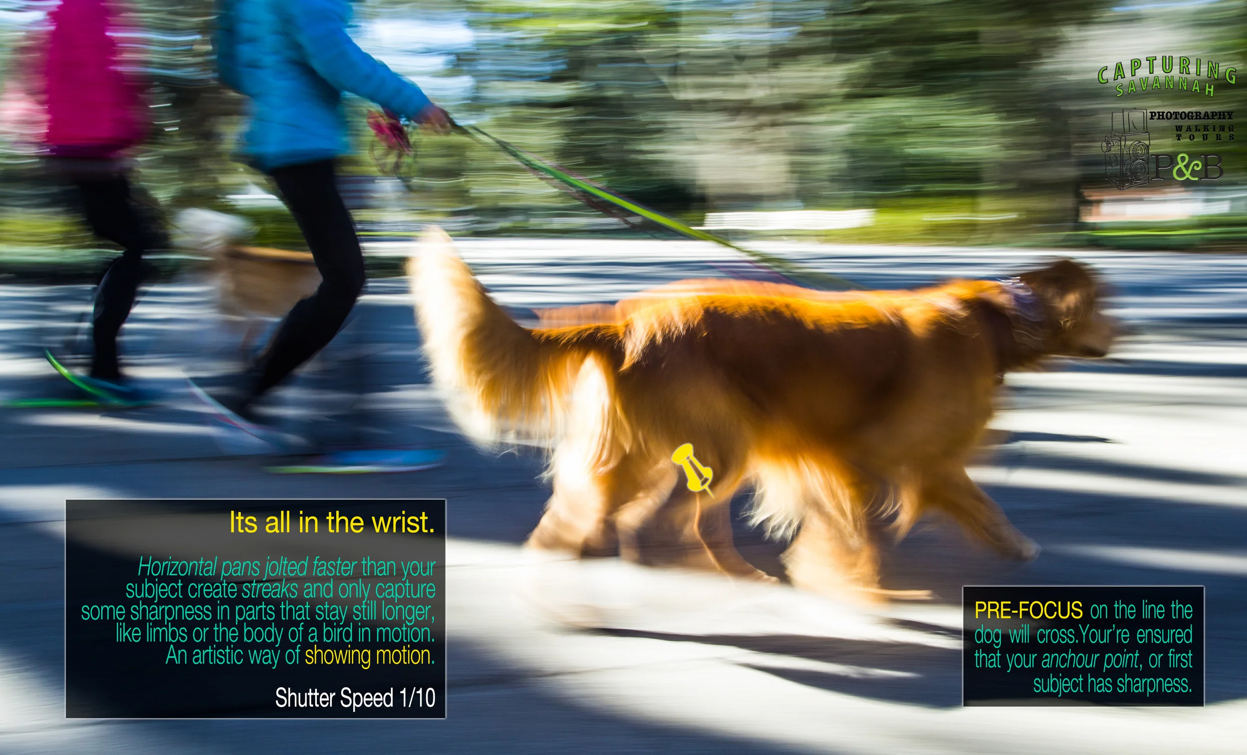 ©2014 Capturing Savannah_BlogPost_Panning_www.capturingsavannah.com -4.jpg