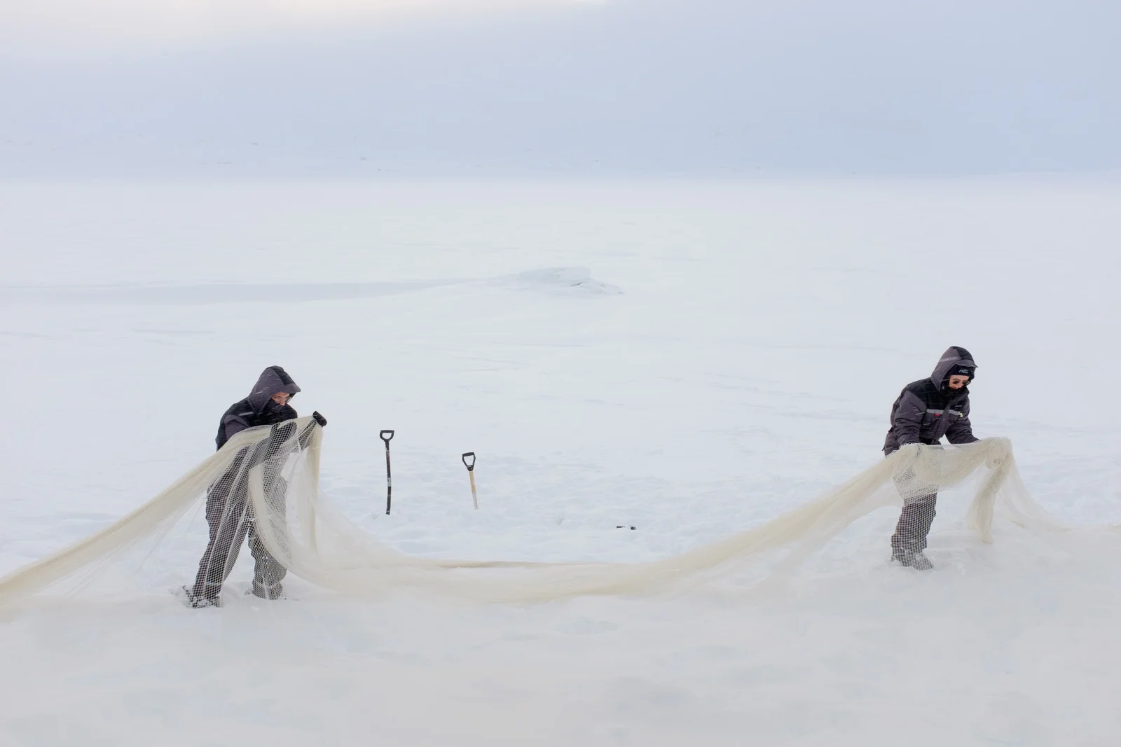 Large balloons are inflated with fine mesh dropped over. Then water is sprayed into the mesh and once frozen, the balloons are deflated and removed.