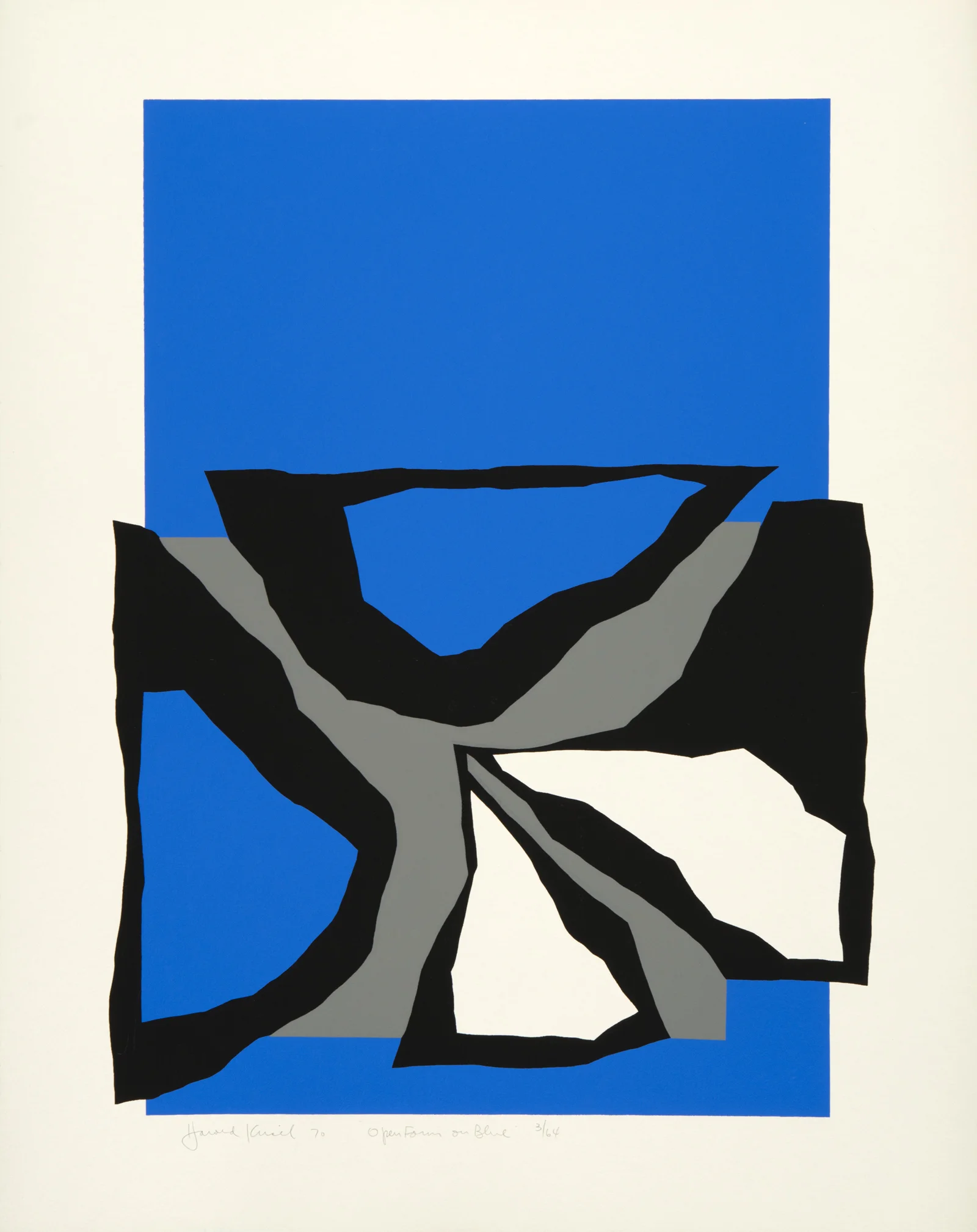 Open Form on Blue '70.jpg