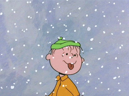 giphy (5).gif