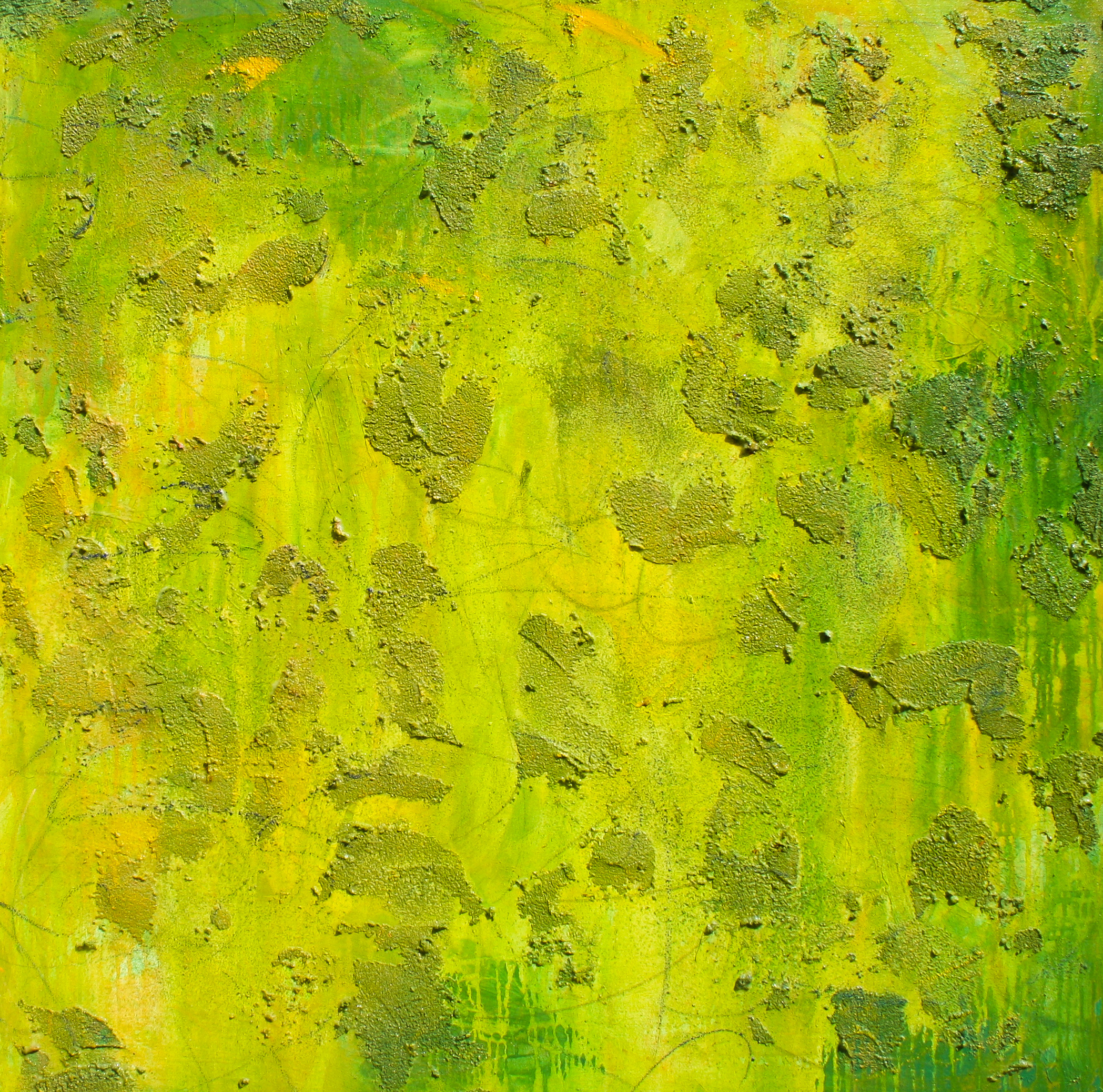 Of Fern and Forest