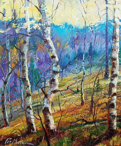 Aspen 46.jpg