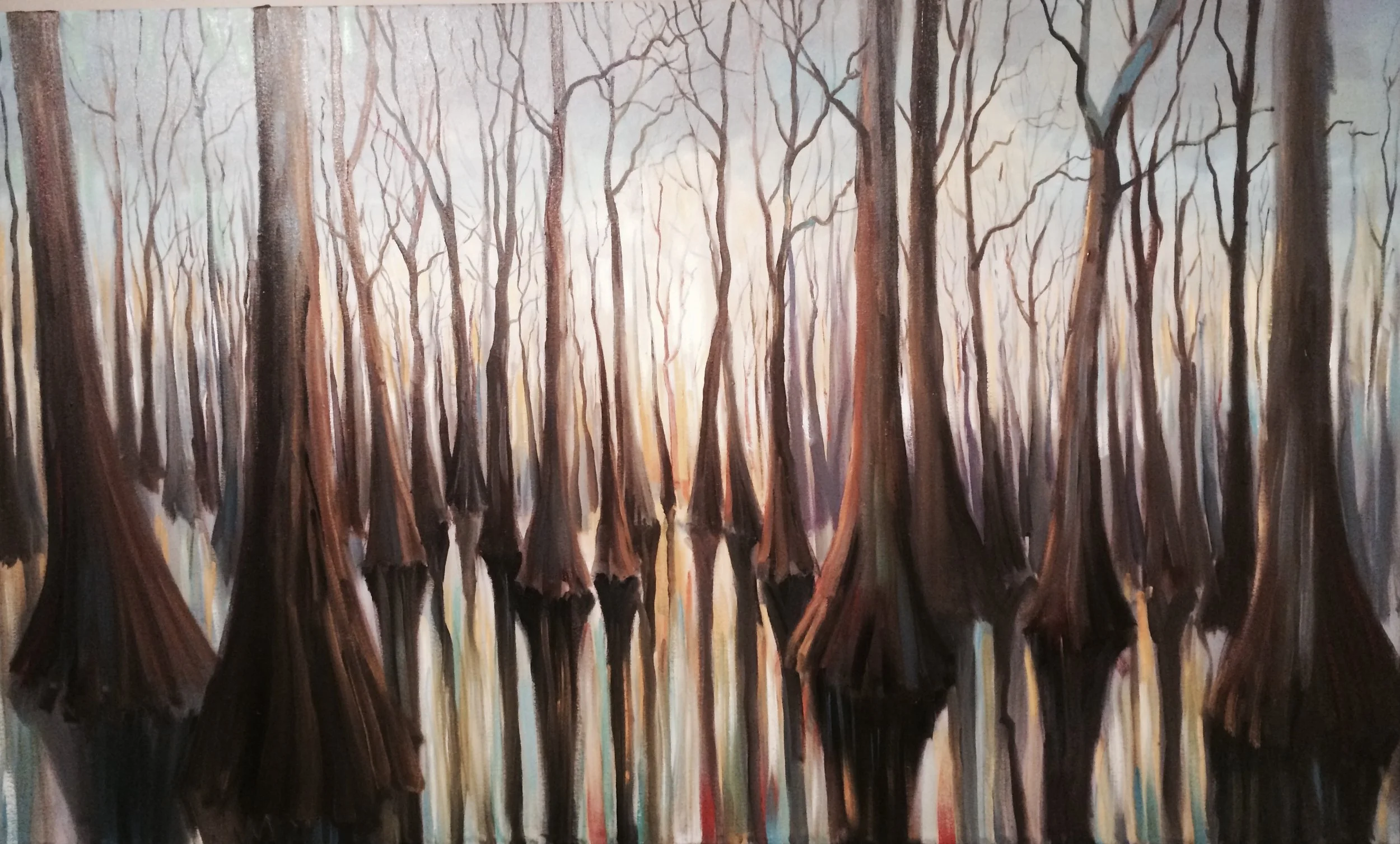 cypress light.jpg
