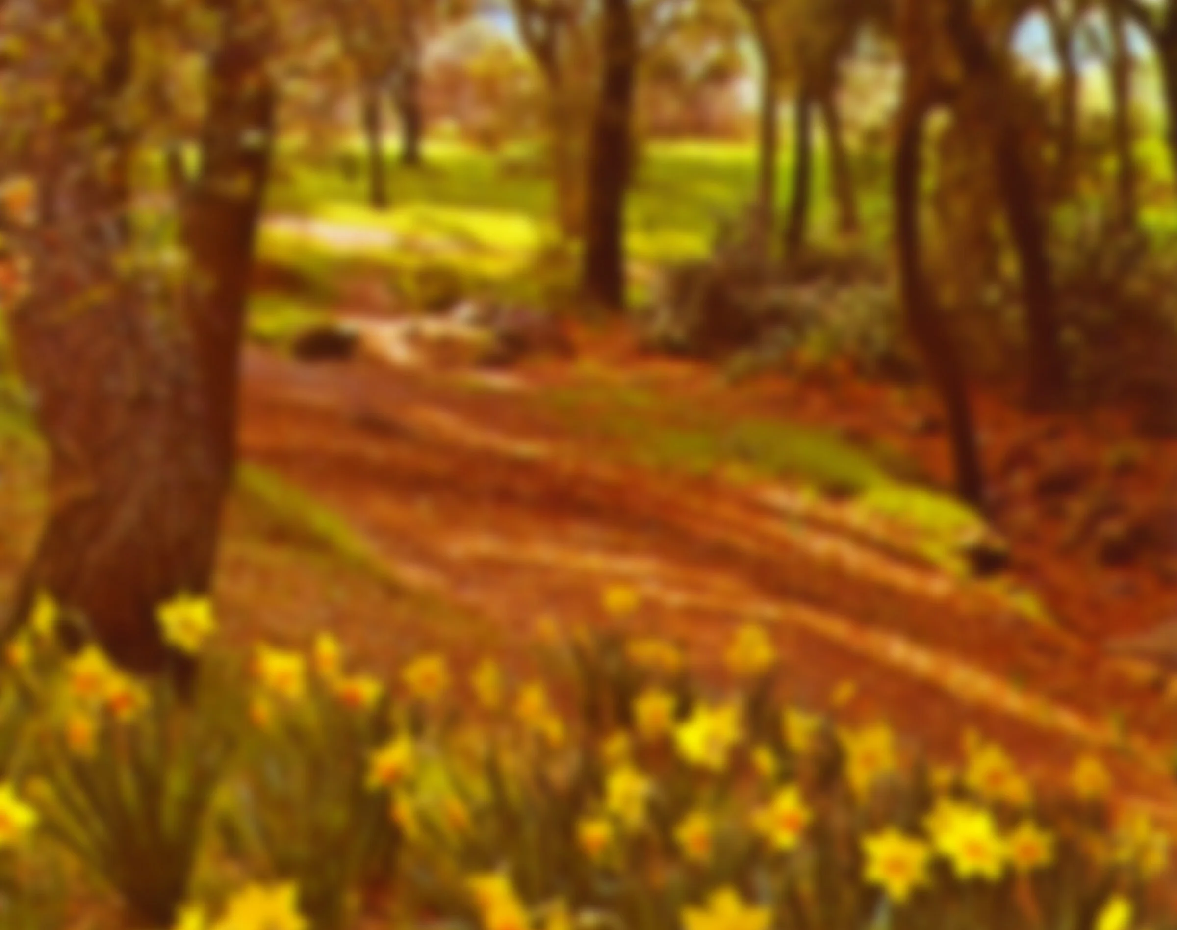 E_splash_spring_A.jpg