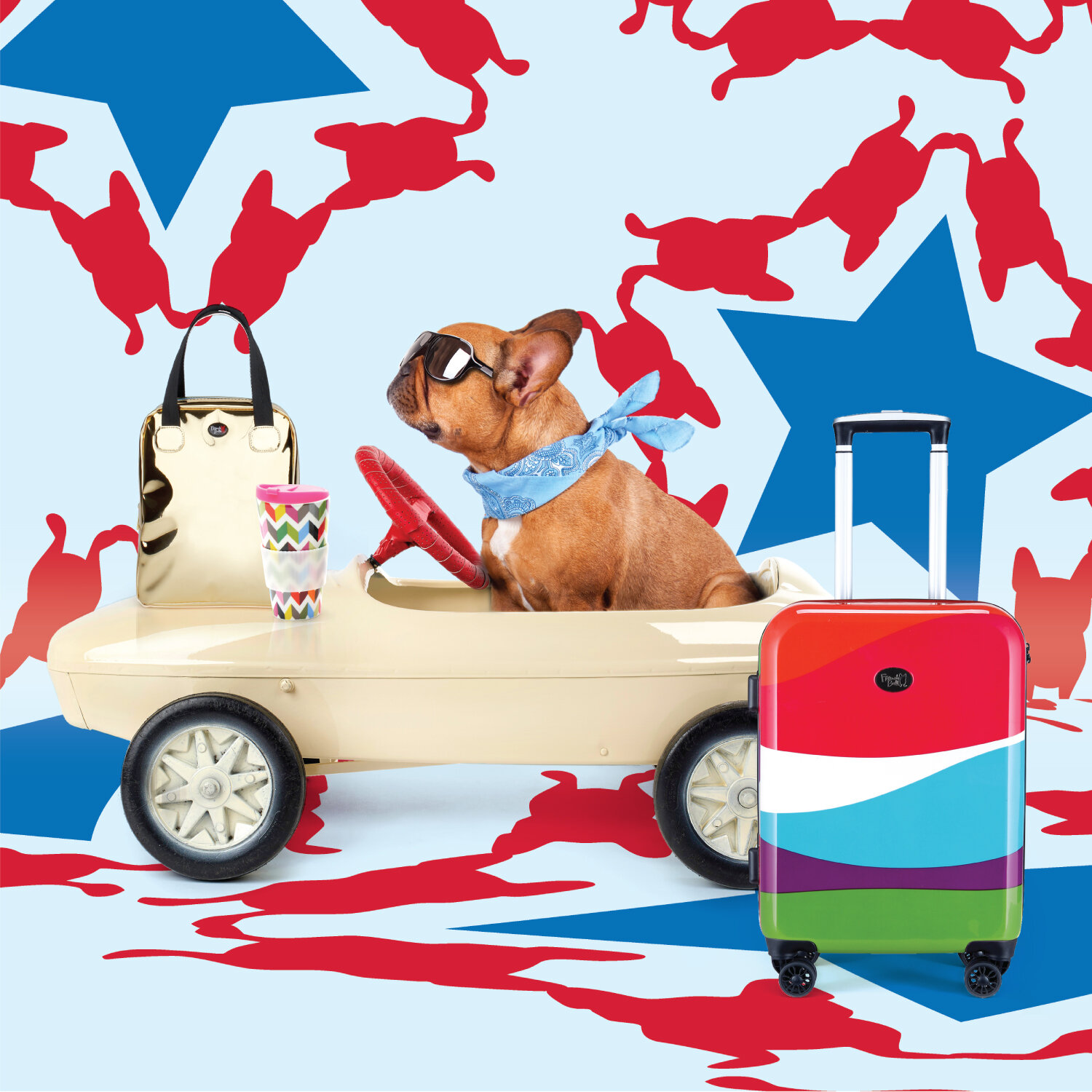  Composite image of French Bull’s lunch bag, thermos, luggage, pattern background and stock image using Photoshop and Illustrator 