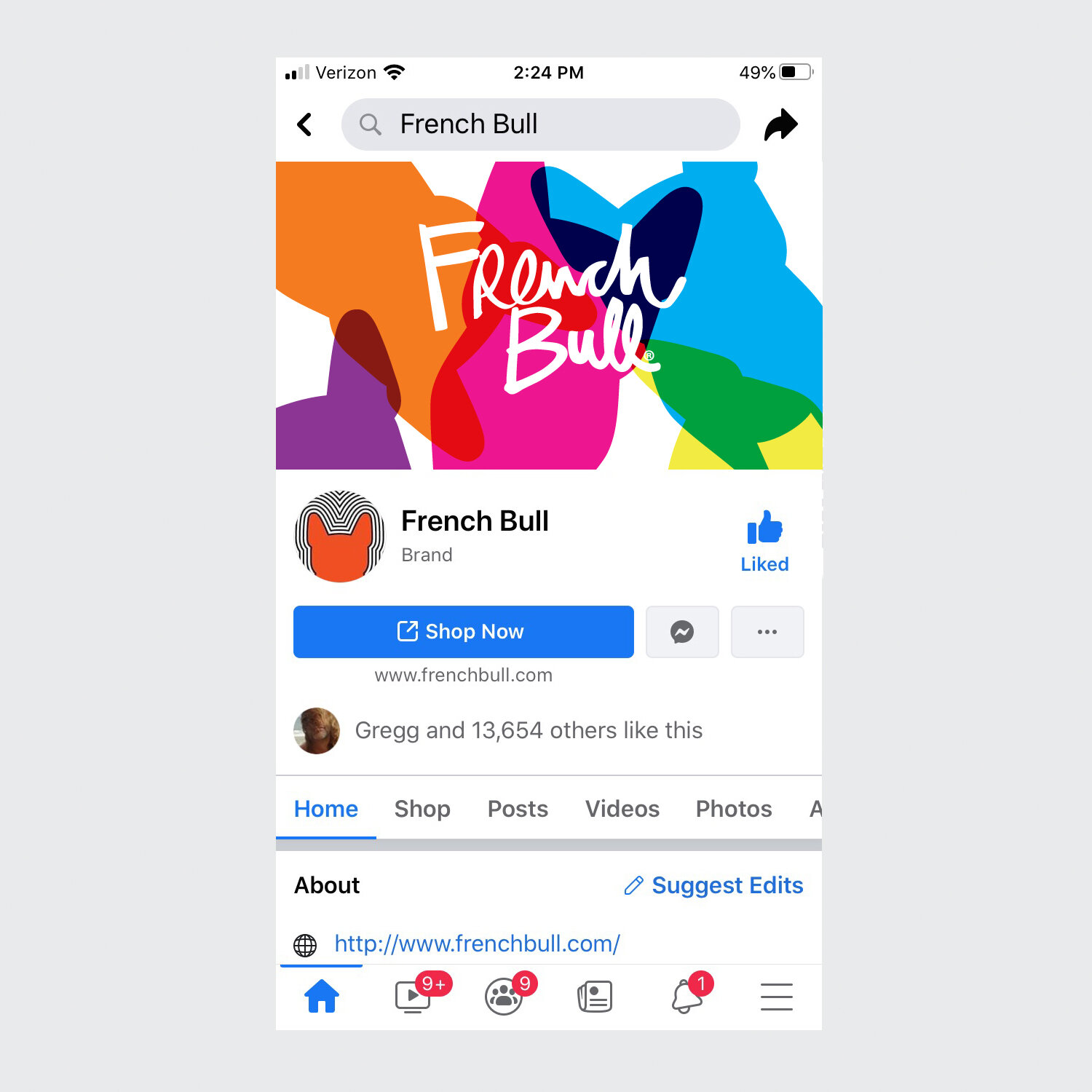  FRENCH BULL FaceBook Brand Profile 