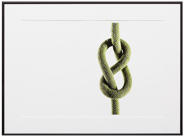 Figure+8_website.jpg