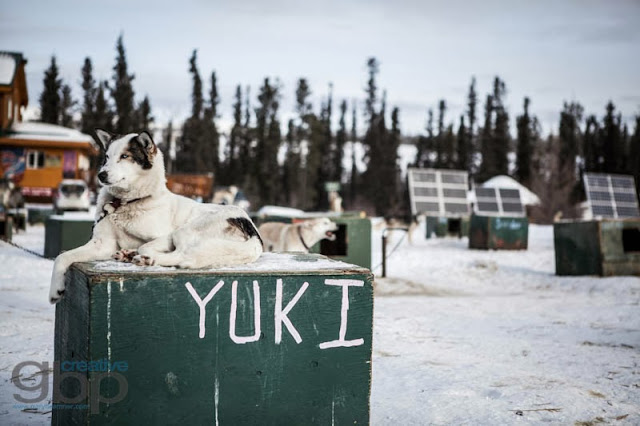 20130222_Rob_Yukon_Trip_DS_GBP_006_web.jpg