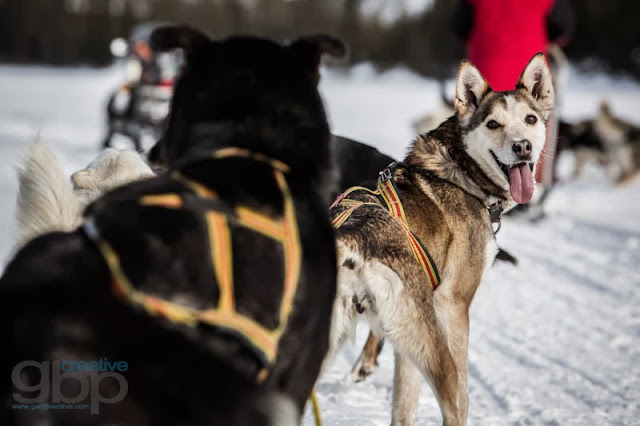 20130222_Rob_Yukon_Trip_DS_GBP_054_web.jpg
