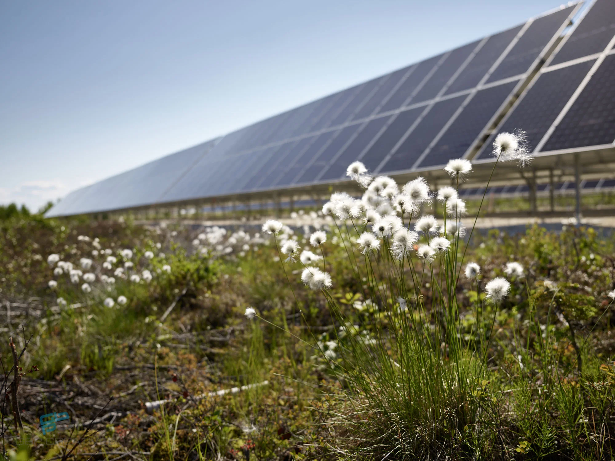 Northern Solar — GBP Creative Commercial Industrial Photo And Video