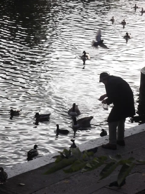 loads of good stuff 030.JPG