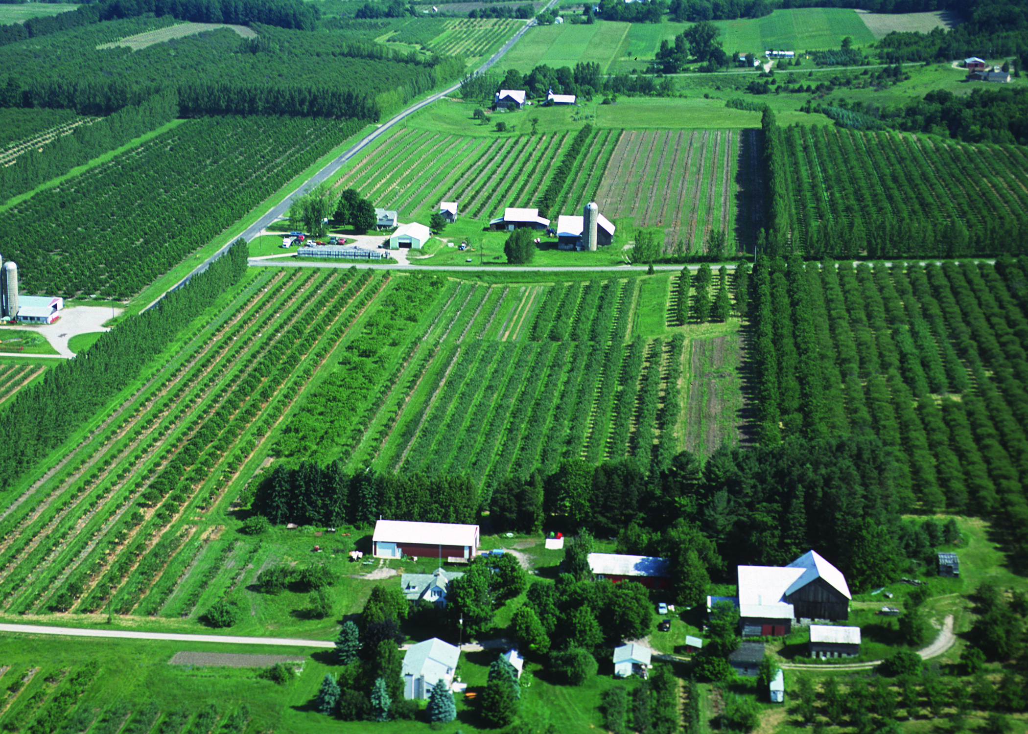 NRCSMI01042_-_Michigan_(4673)(NRCS_Photo_Gallery).jpg