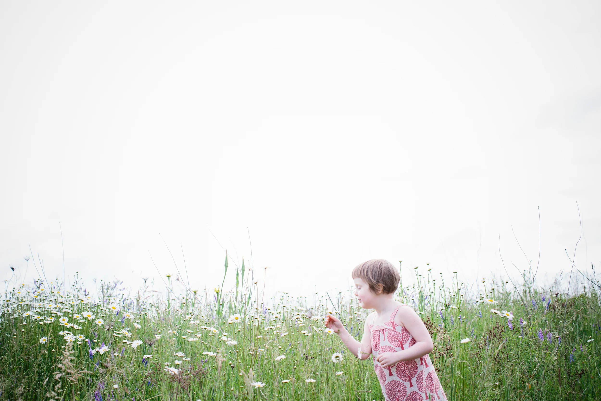 Jonya Streeper Photography-fayeflowers1.jpg