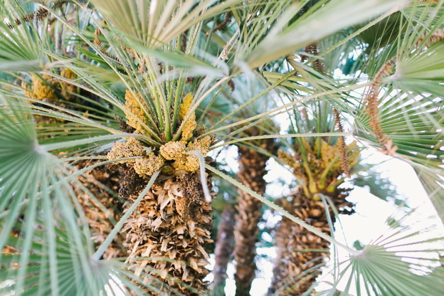 025_Prospect_Park_Redlands_California_Engagement_Photo.JPG