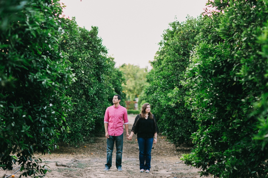 029_Prospect_Park_Redlands_California_Engagement_Photo.JPG