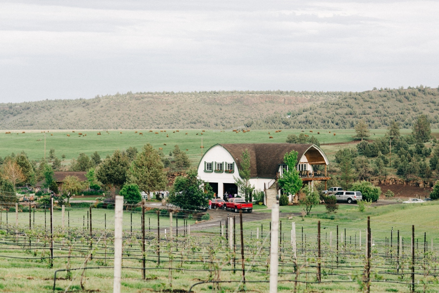 01_HopeFaithandCharityVineyards_Terrebone_Oregon_Wedding_Photo.JPG