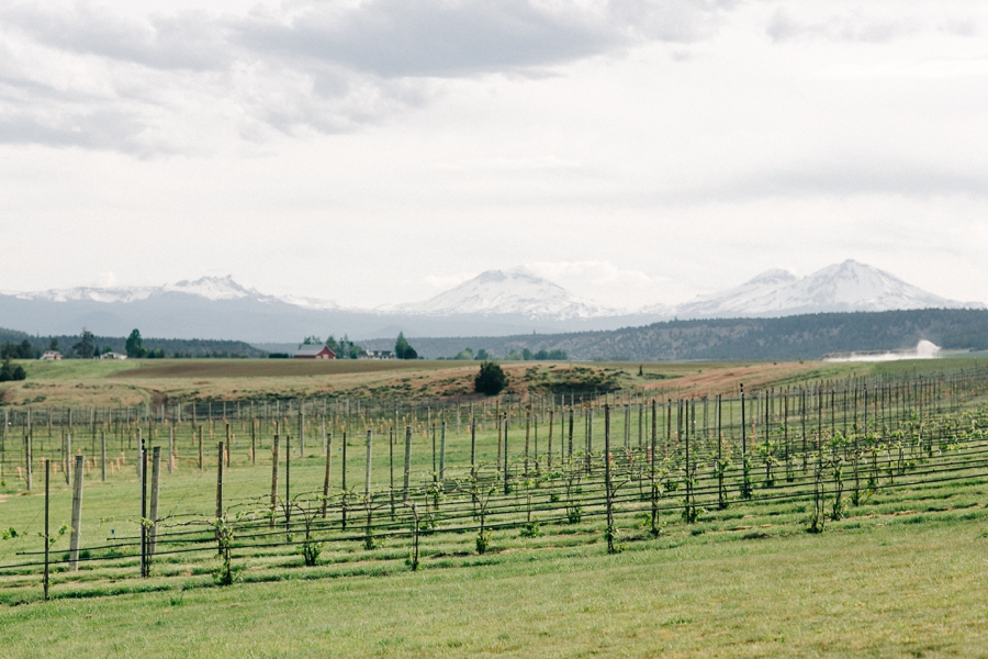 06_HopeFaithandCharityVineyards_Terrebone_Oregon_Wedding_Photo.JPG