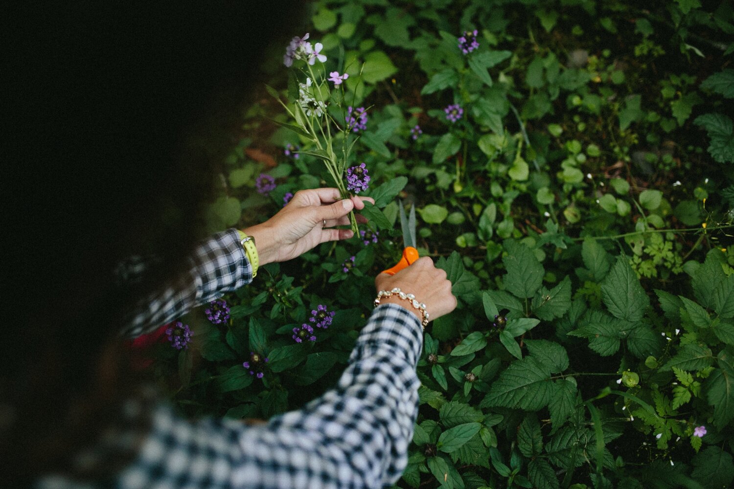 Wahclella_falls_oregon_intimate_elopement_wedding_photo_04.JPG