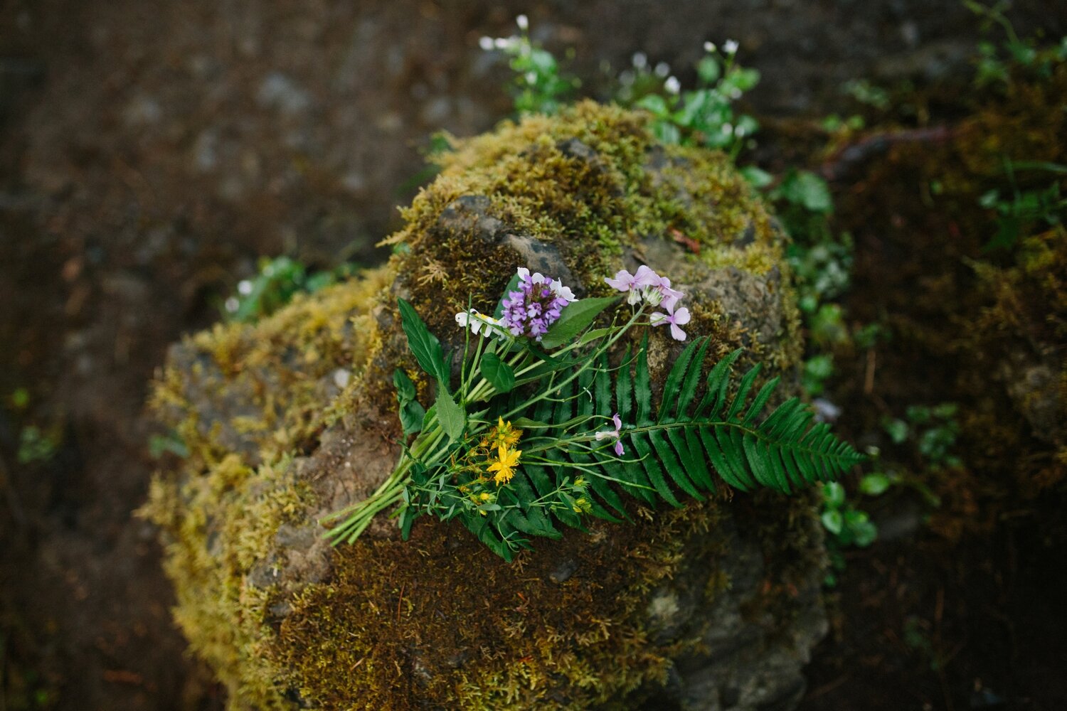 Wahclella_falls_oregon_intimate_elopement_wedding_photo_31.JPG