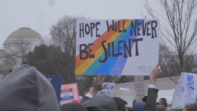One Woman's Journey to the Women's March