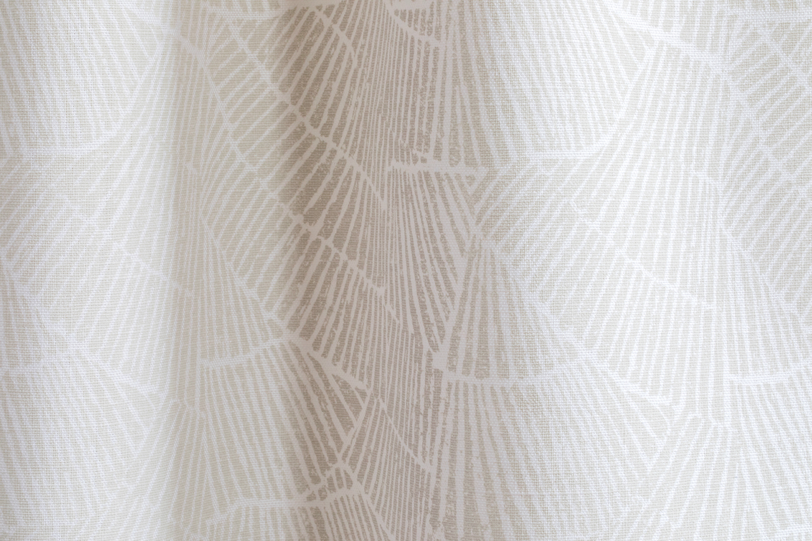 FAYCE_Pleat_cream1.jpg