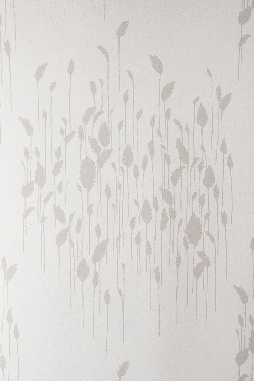 FAYCE_Phragmites_lt.gray_wallpaper_close.jpg