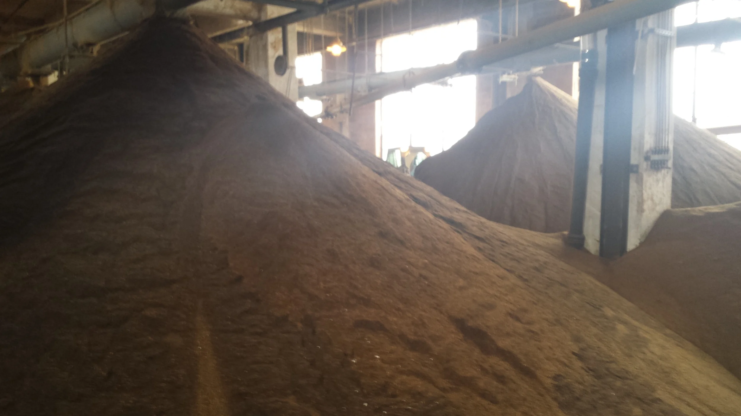 Dryed grain