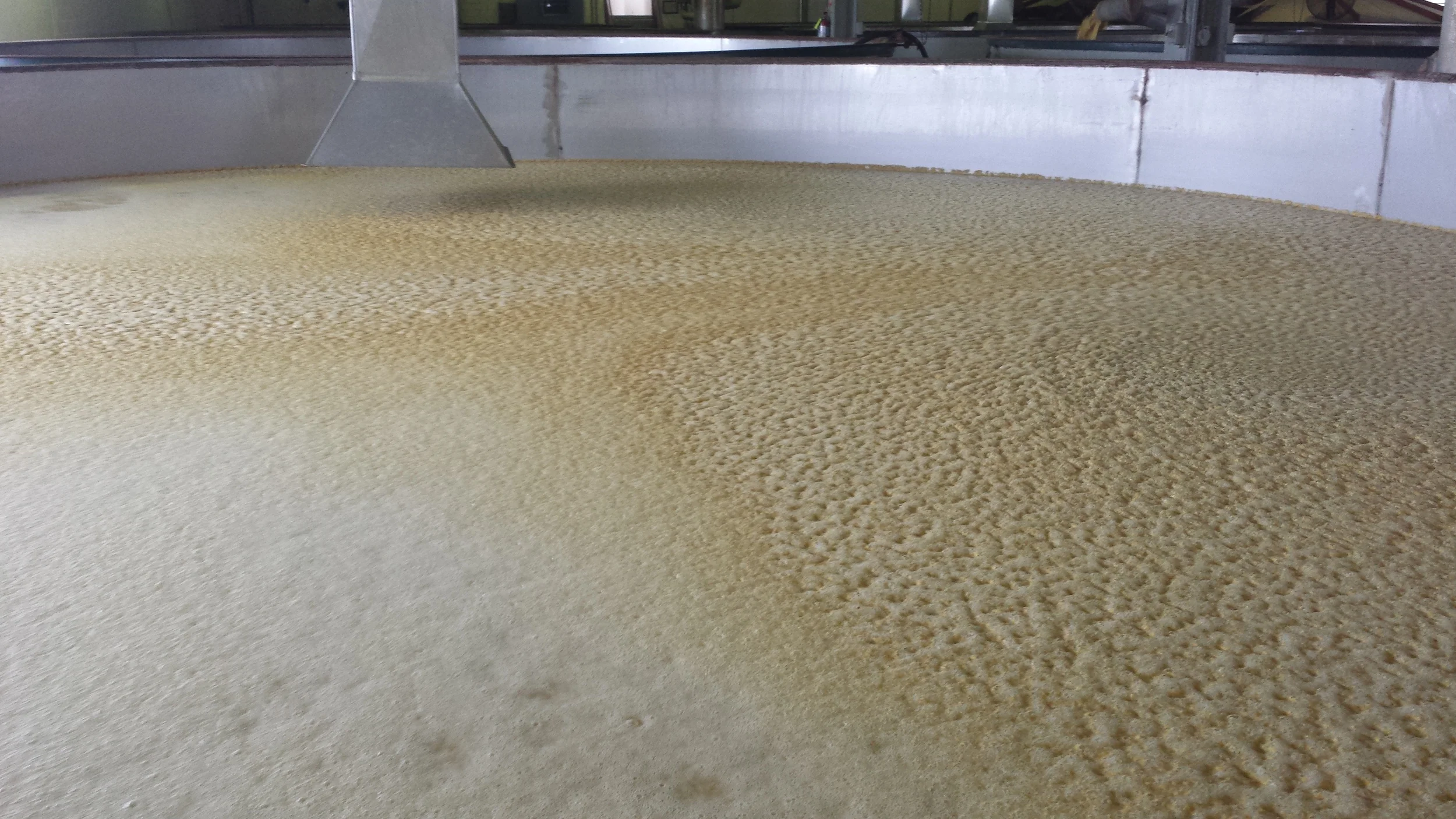 Fermentation
